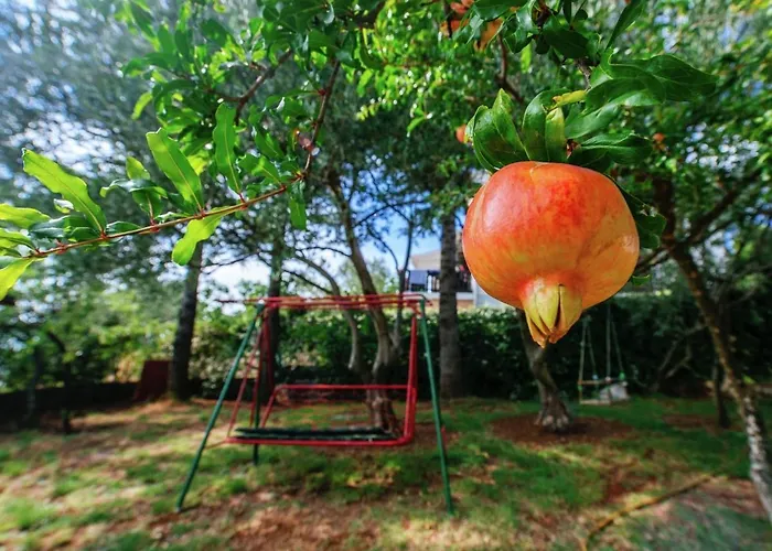 Inviting With Garden, Barbecue, Garden Furniture *