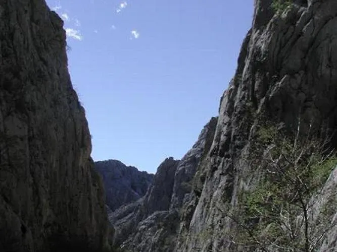 Apartman Inviting With Garden, Barbecue, Garden Furniture Stari Grad